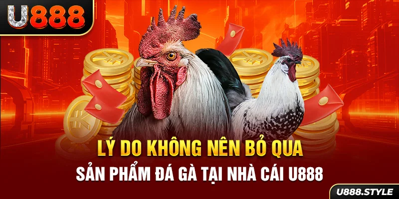 Lý do không nên bỏ qua sản phẩm đá gà tại nhà cái U888