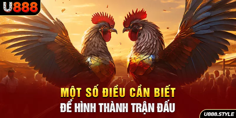 Một số điều cần biết để hình thành trận đấu