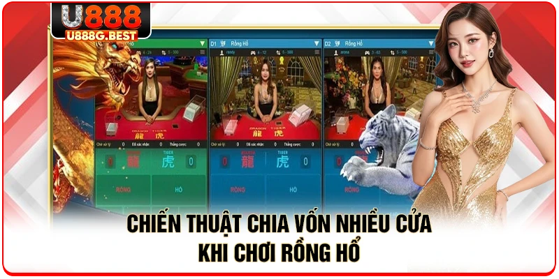 Chiến thuật vào cược rồng hổ thắng lớn thuật chia vốn nhiều cửa khi chơi rồng hổ