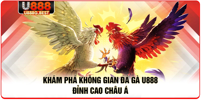 Khám phá không gian đá gà U888 đỉnh cao châu Á 