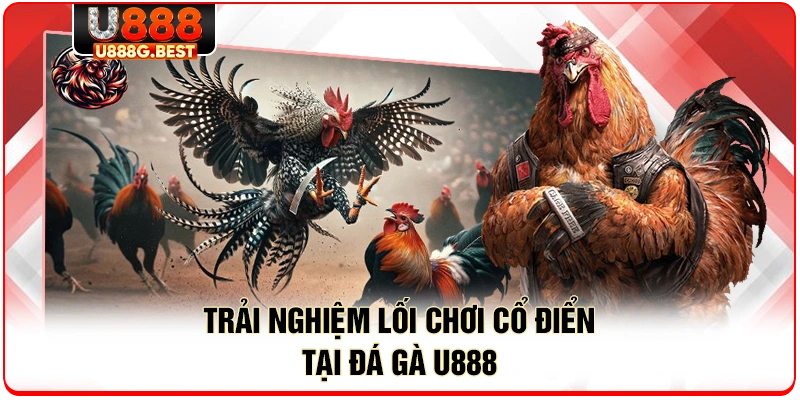 Trải nghiệm lối chơi cổ điển tại đá gà U888 