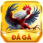 u888 đá gà